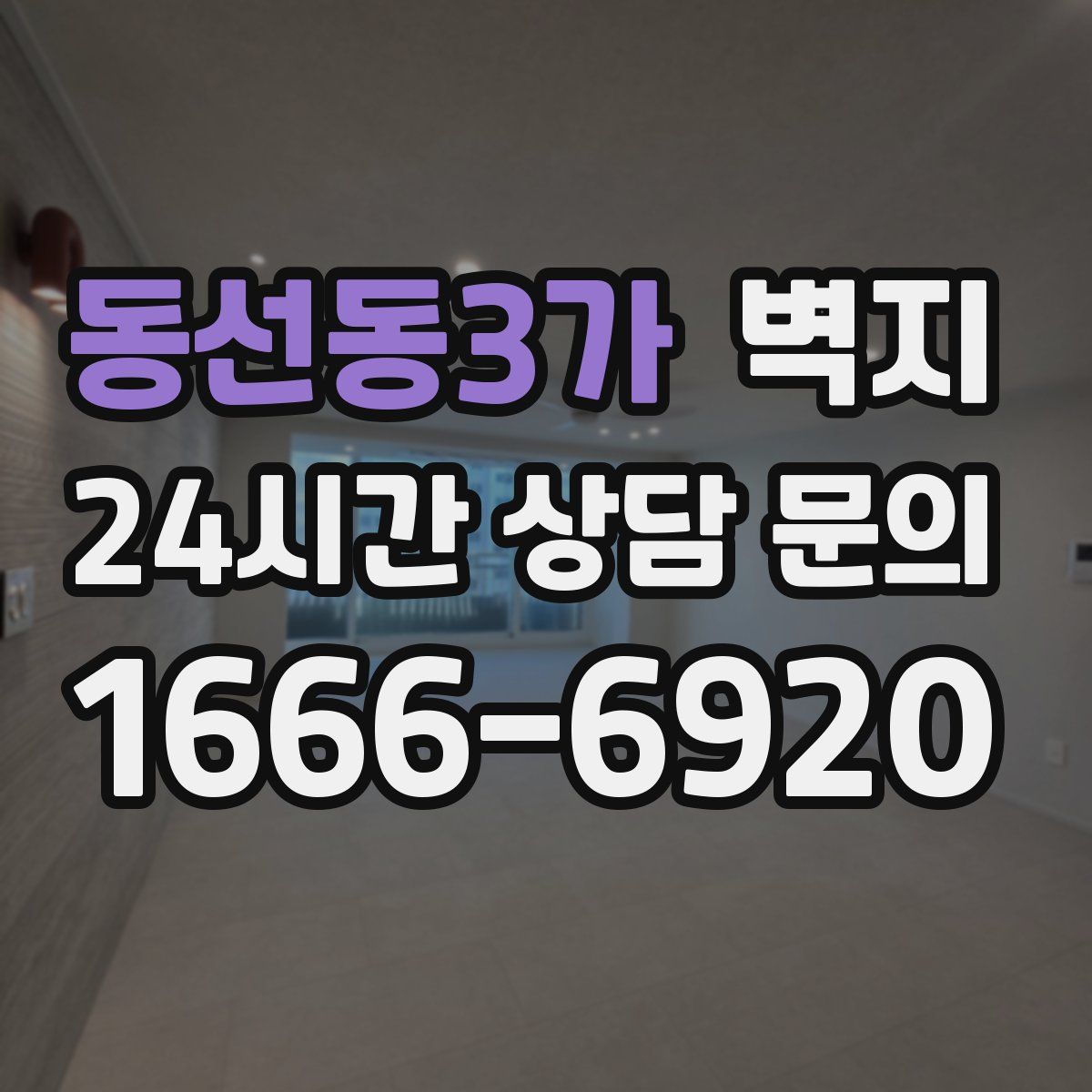 동선동3가 벽지