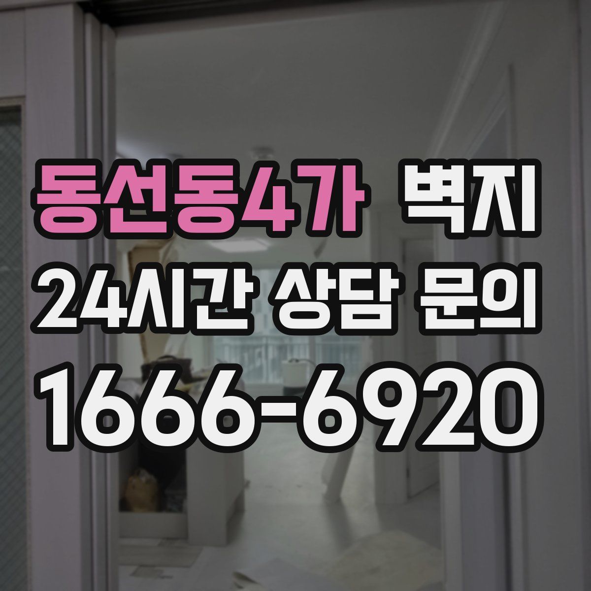 동선동4가 벽지