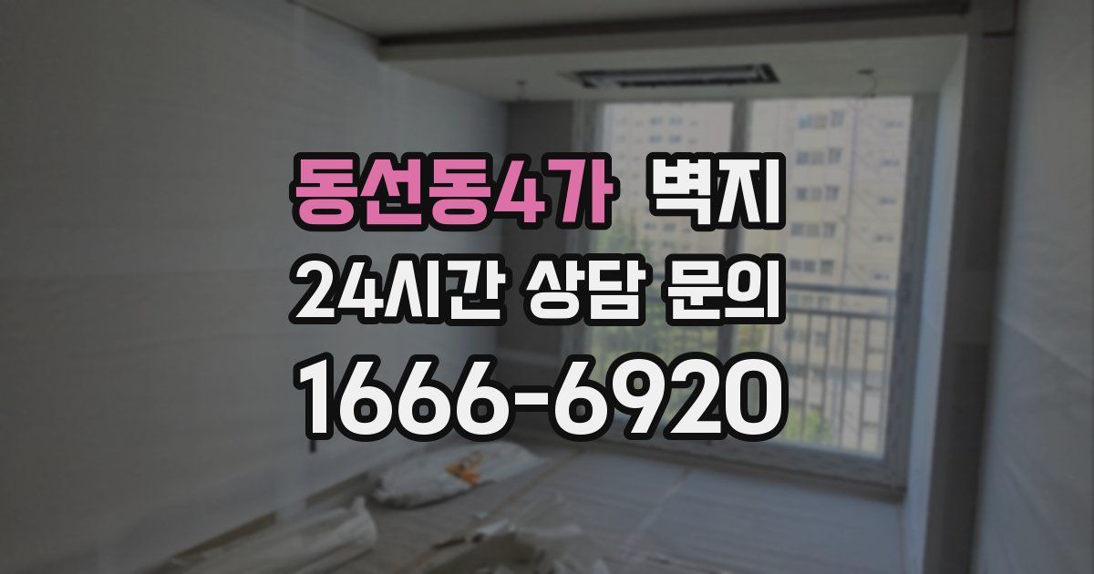 동선동4가 벽지
