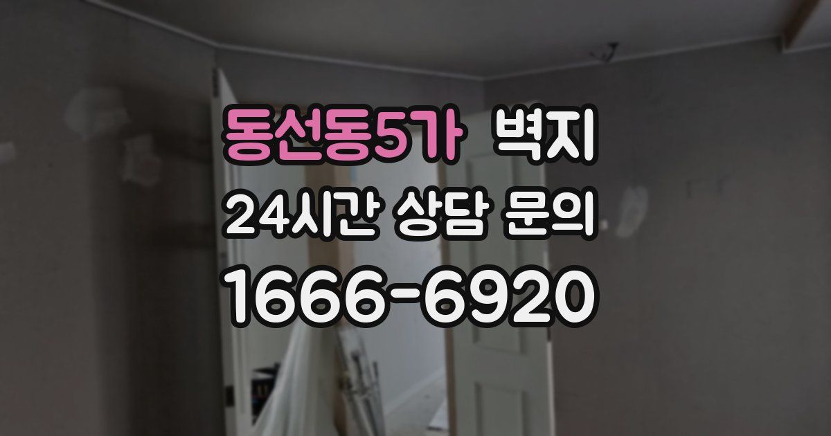 동선동5가 벽지