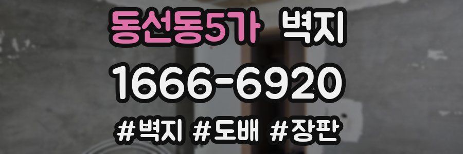 동선동5가 벽지