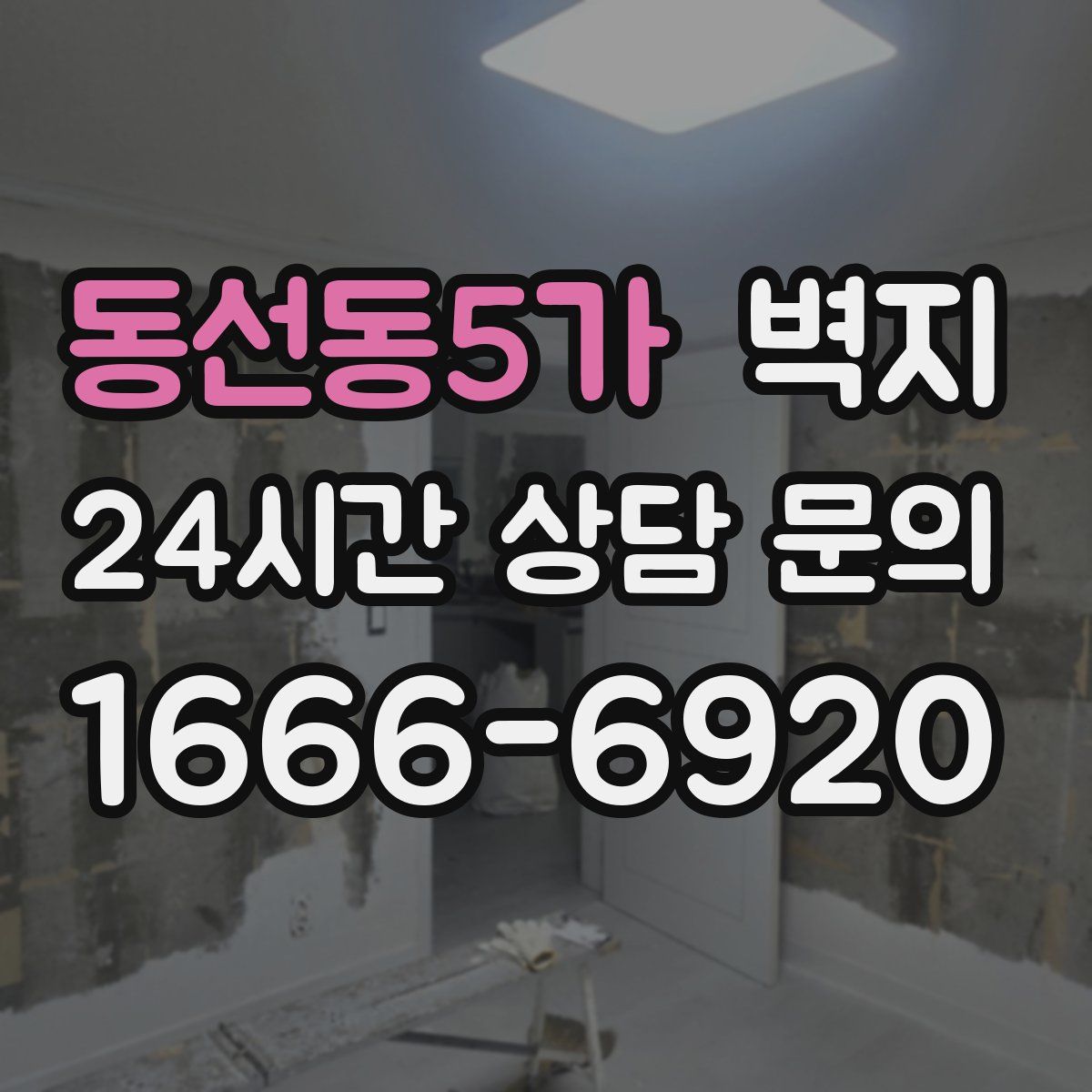 동선동5가 벽지