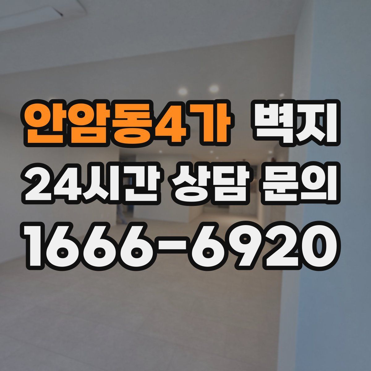 안암동4가 벽지