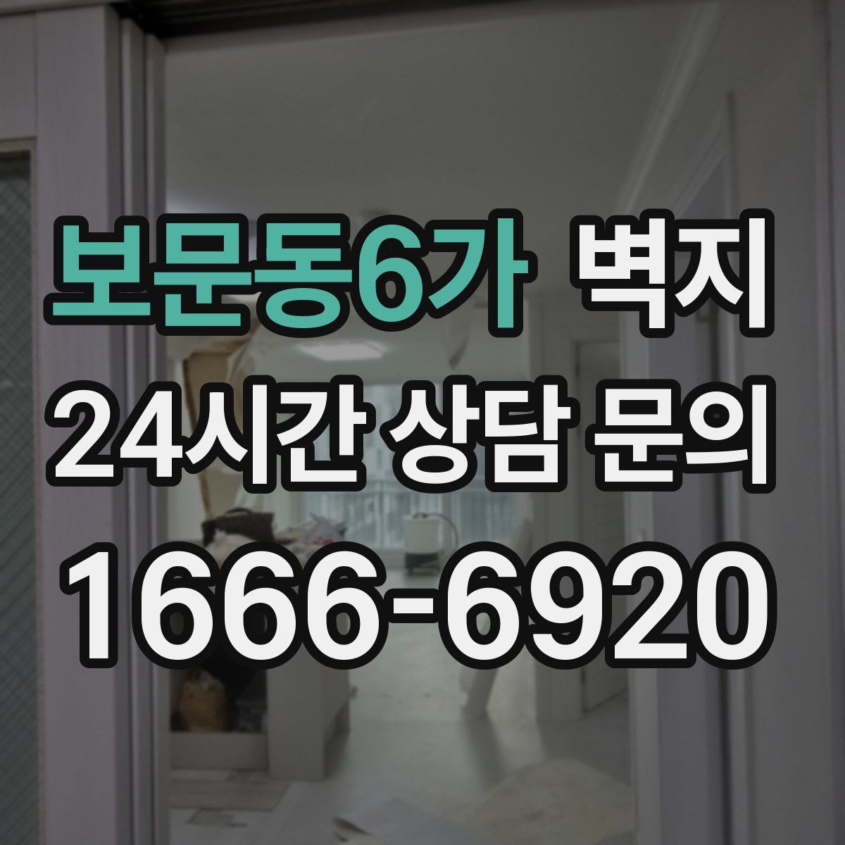 보문동6가 벽지