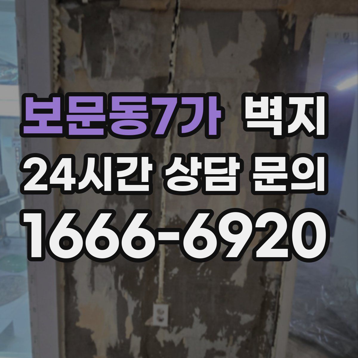 보문동7가 벽지