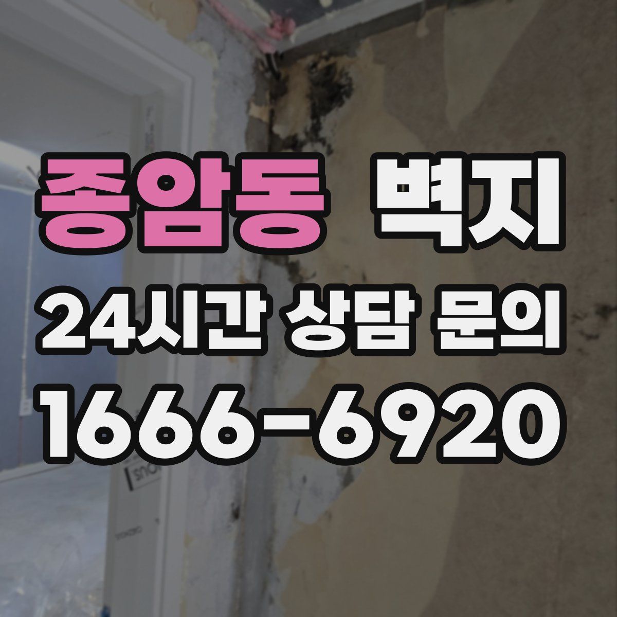 종암동 벽지