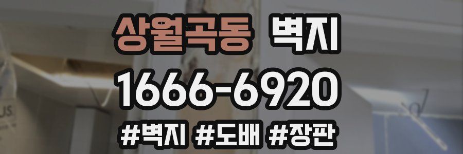 상월곡동 벽지