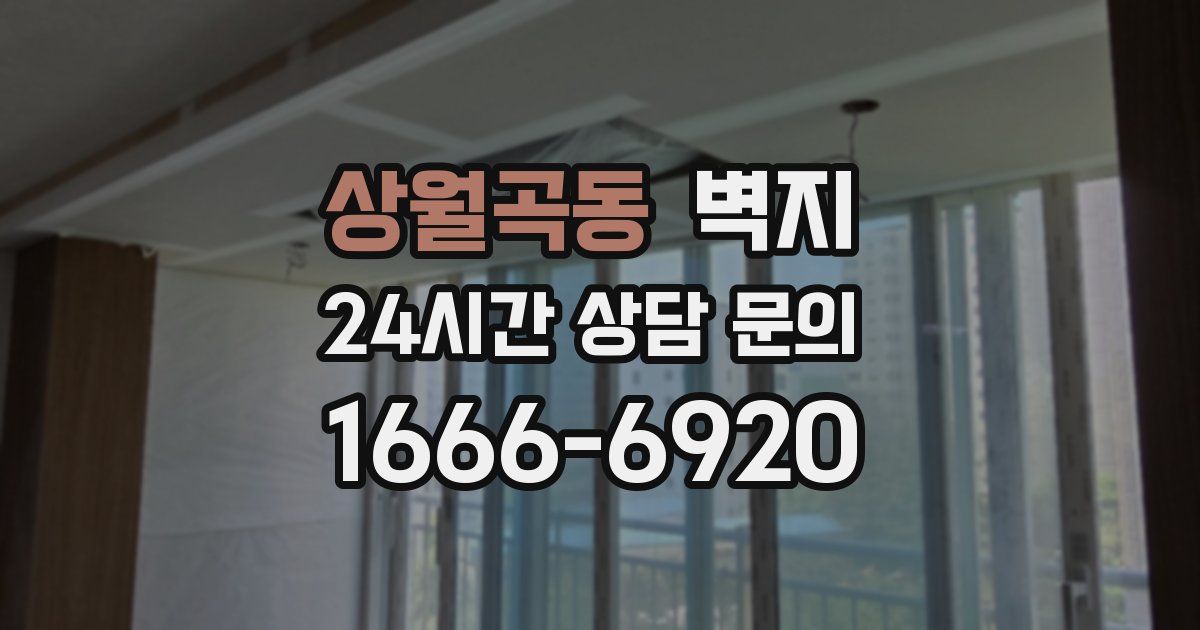상월곡동 벽지