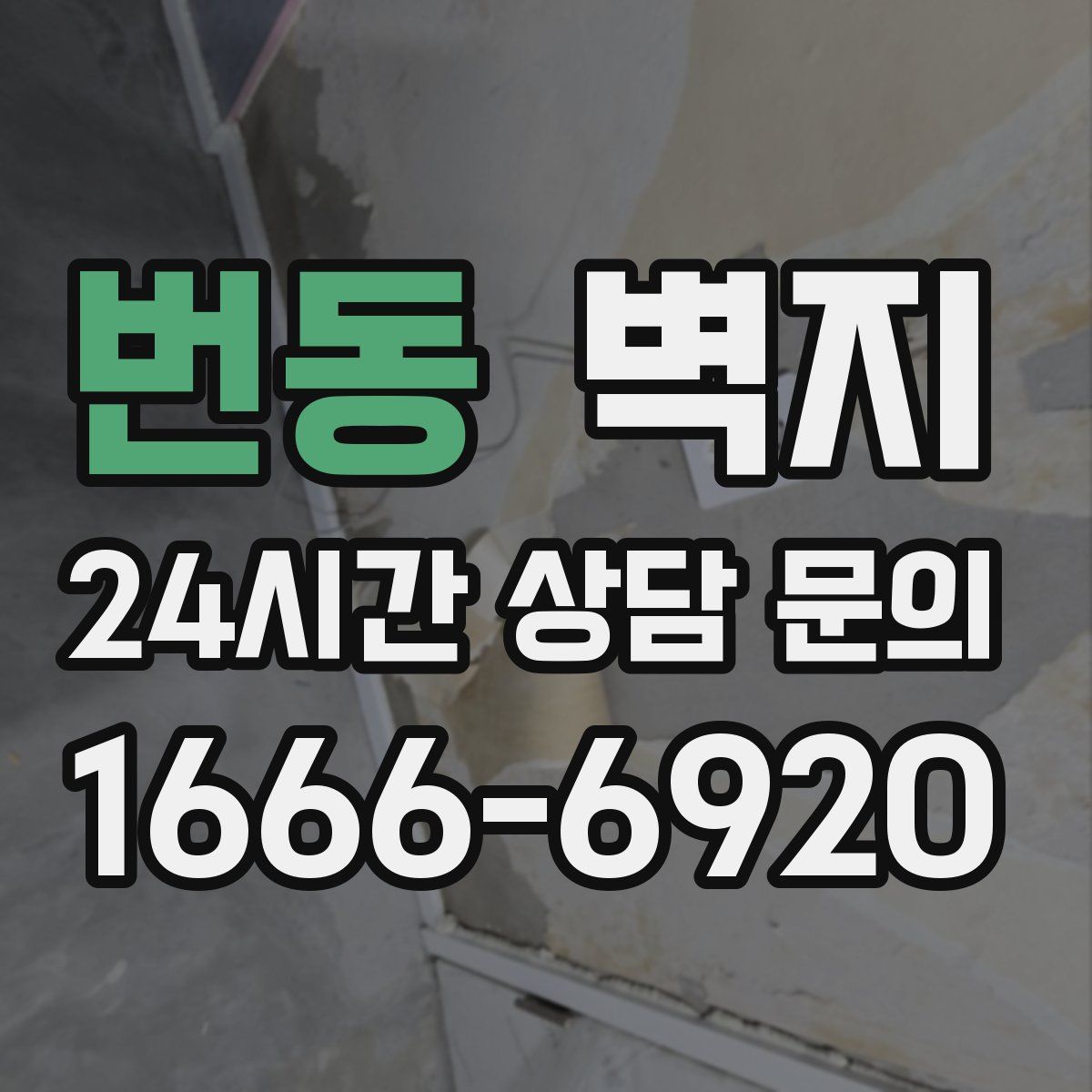 번동 벽지