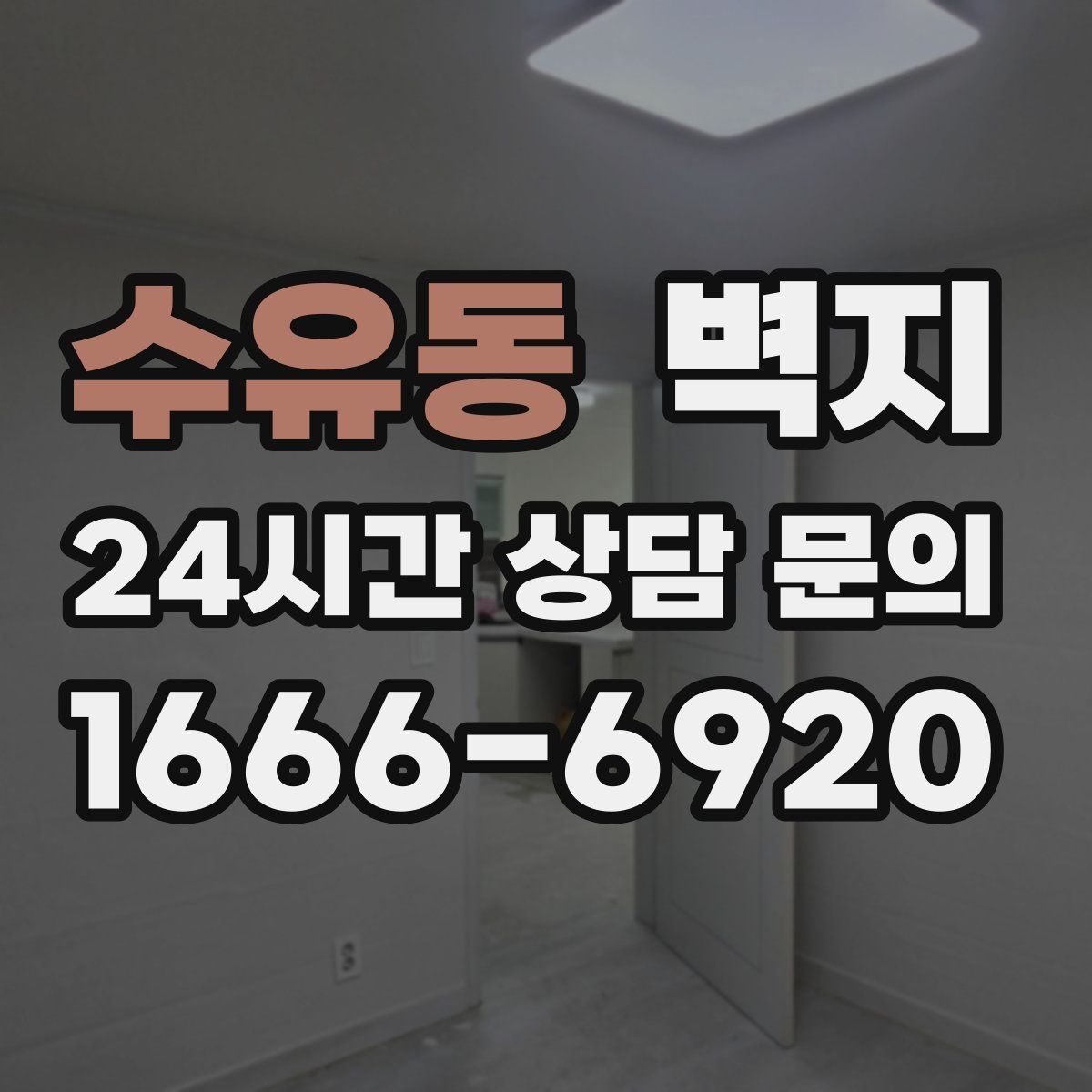 수유동 벽지