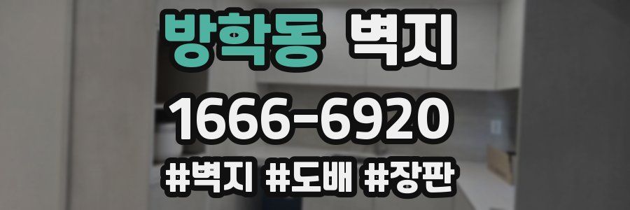 방학동 벽지
