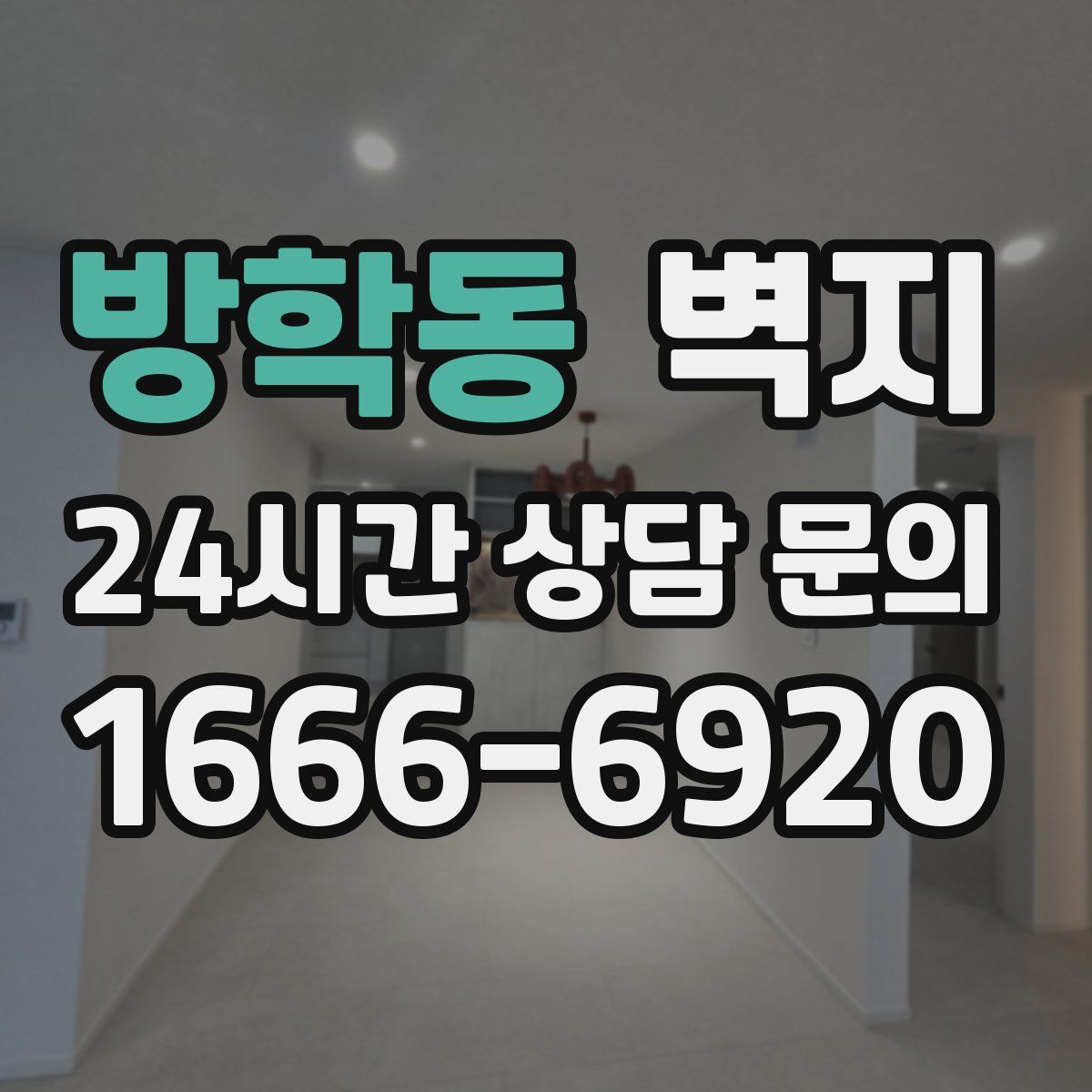 방학동 벽지