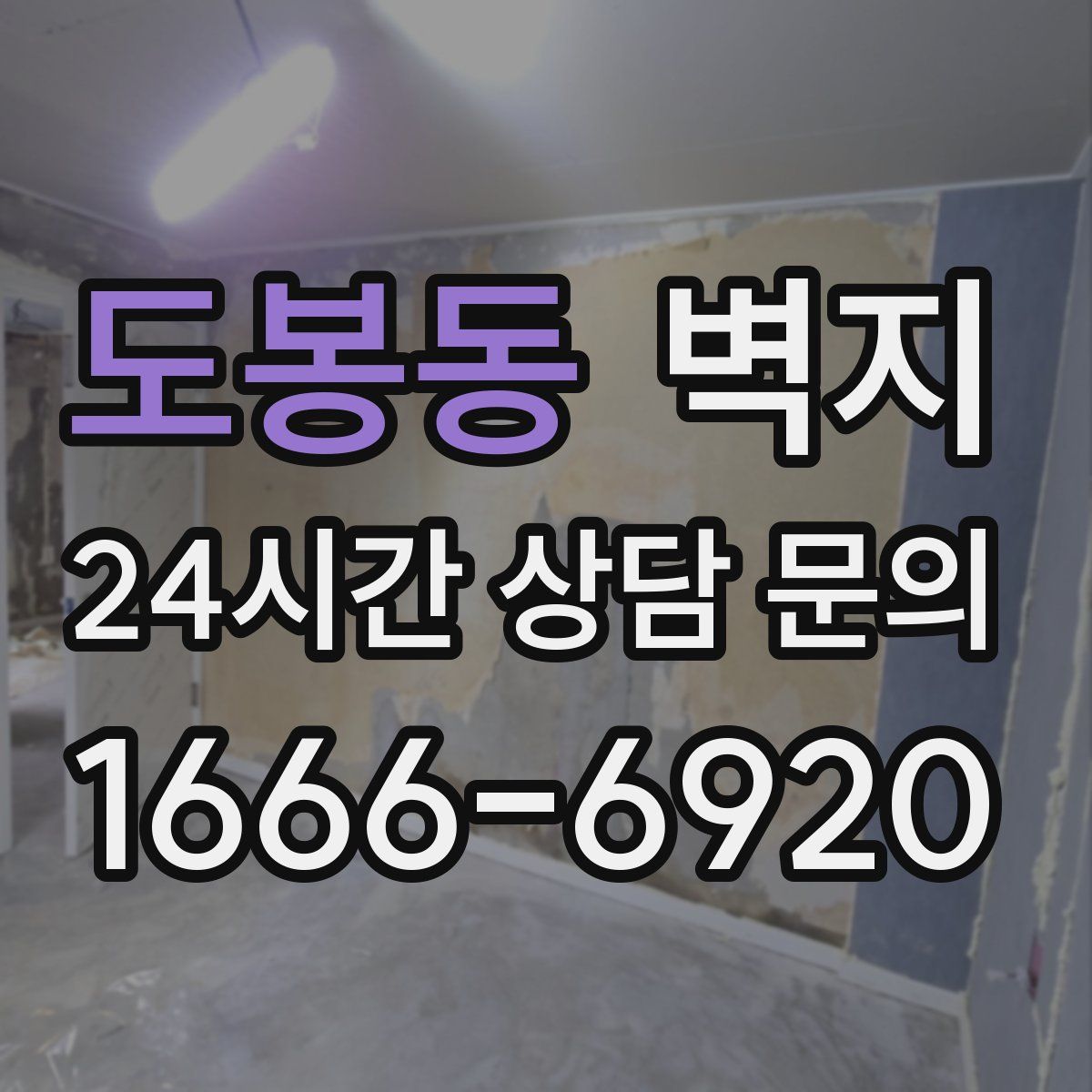 도봉동 벽지
