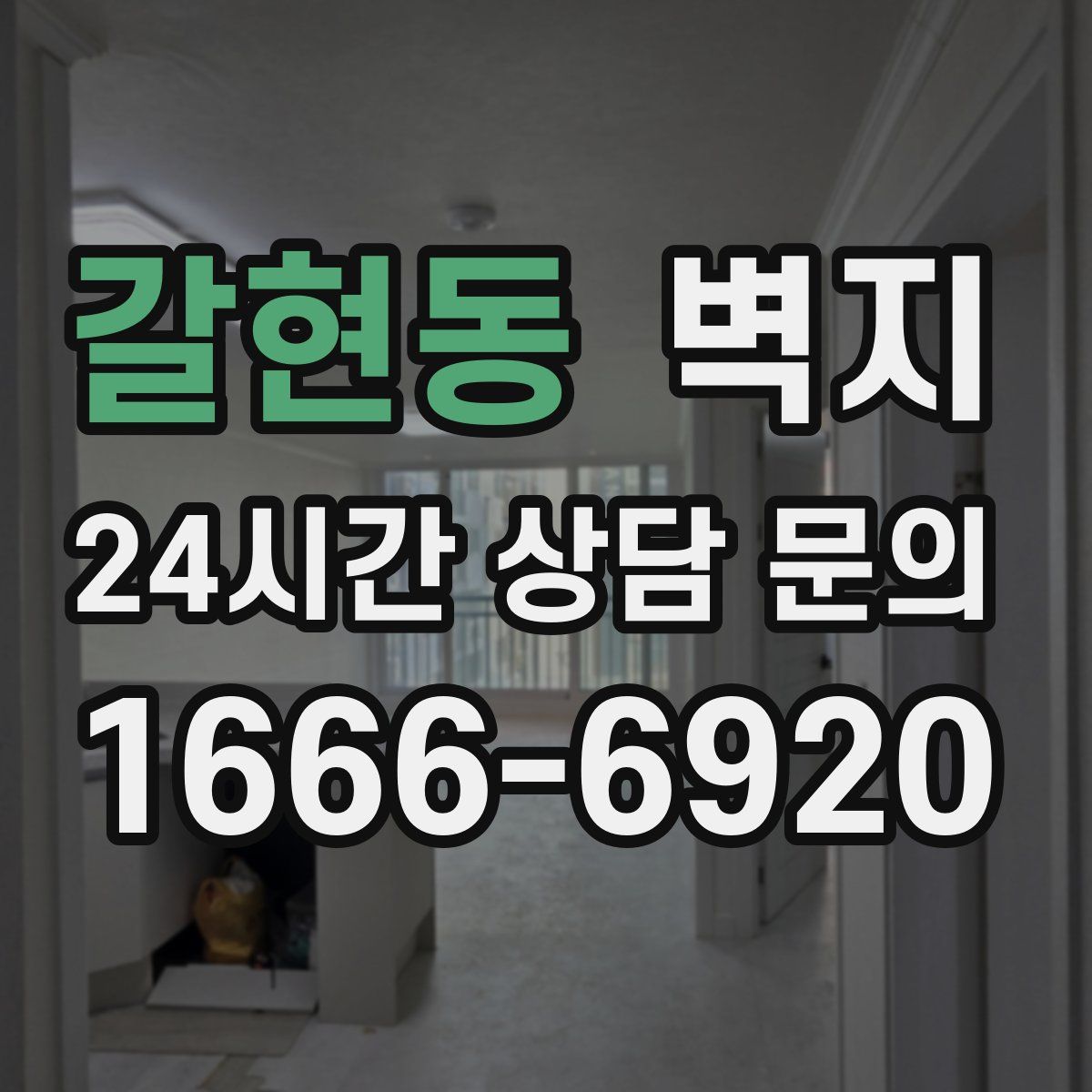 갈현동 벽지
