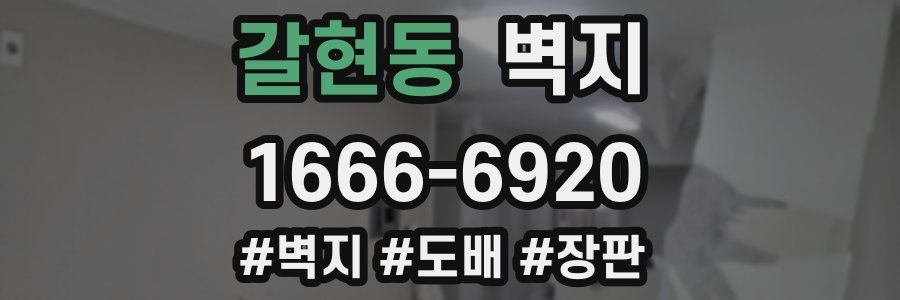 갈현동 벽지