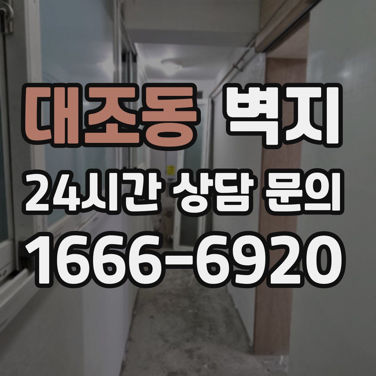 대조동 벽지