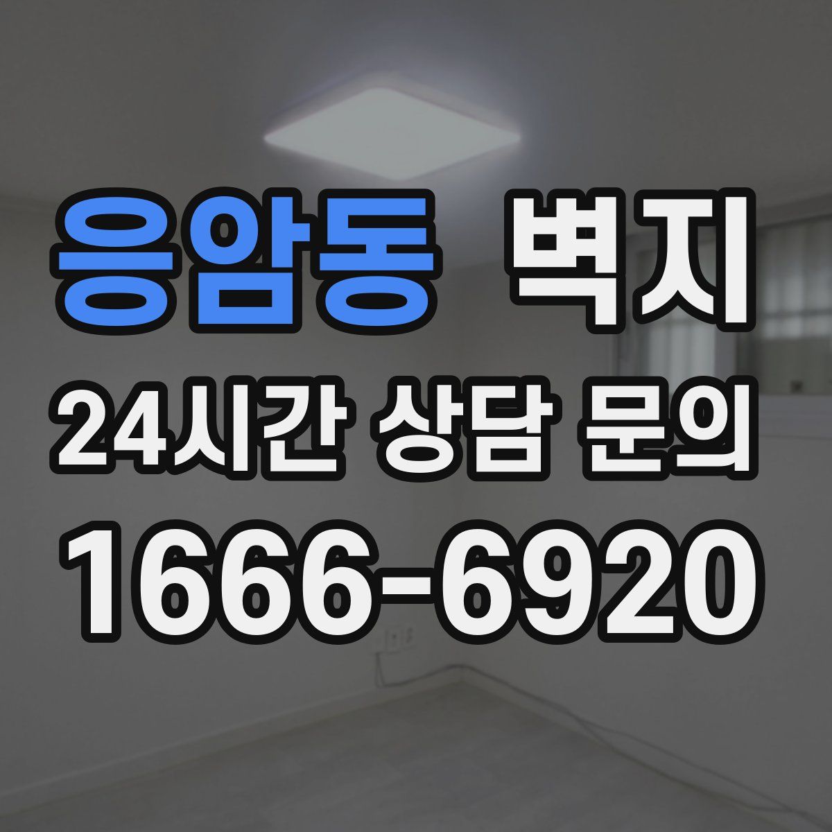 응암동 벽지