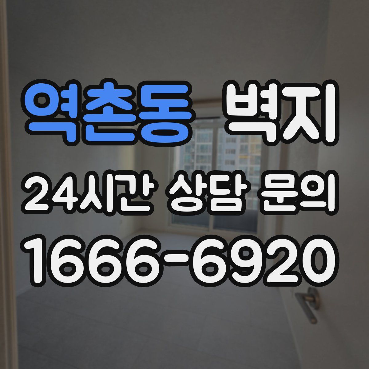 역촌동 벽지