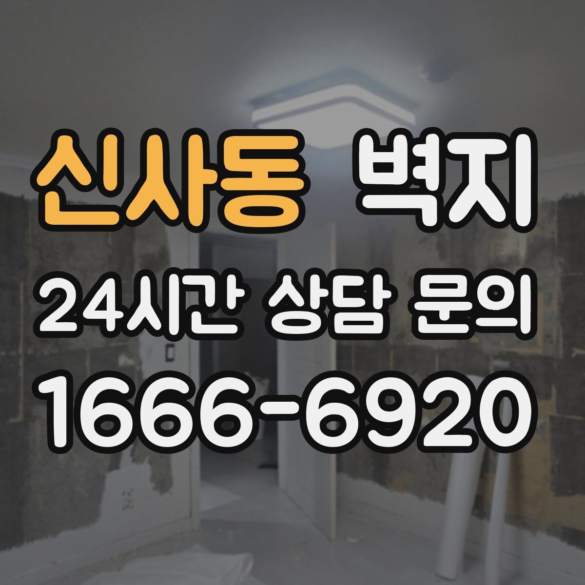 신사동 벽지