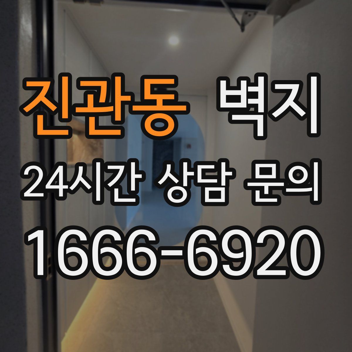 진관동 벽지
