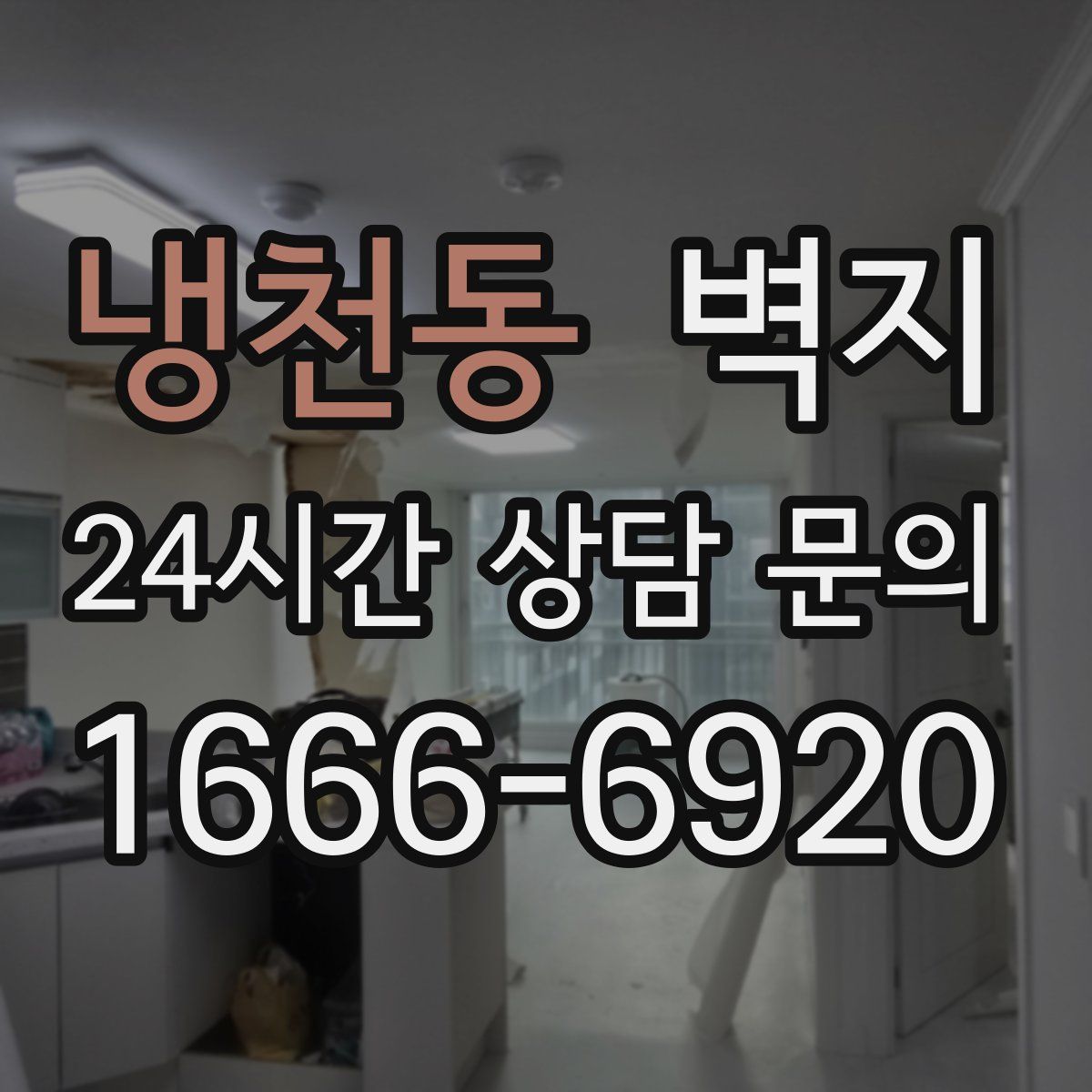 냉천동 벽지