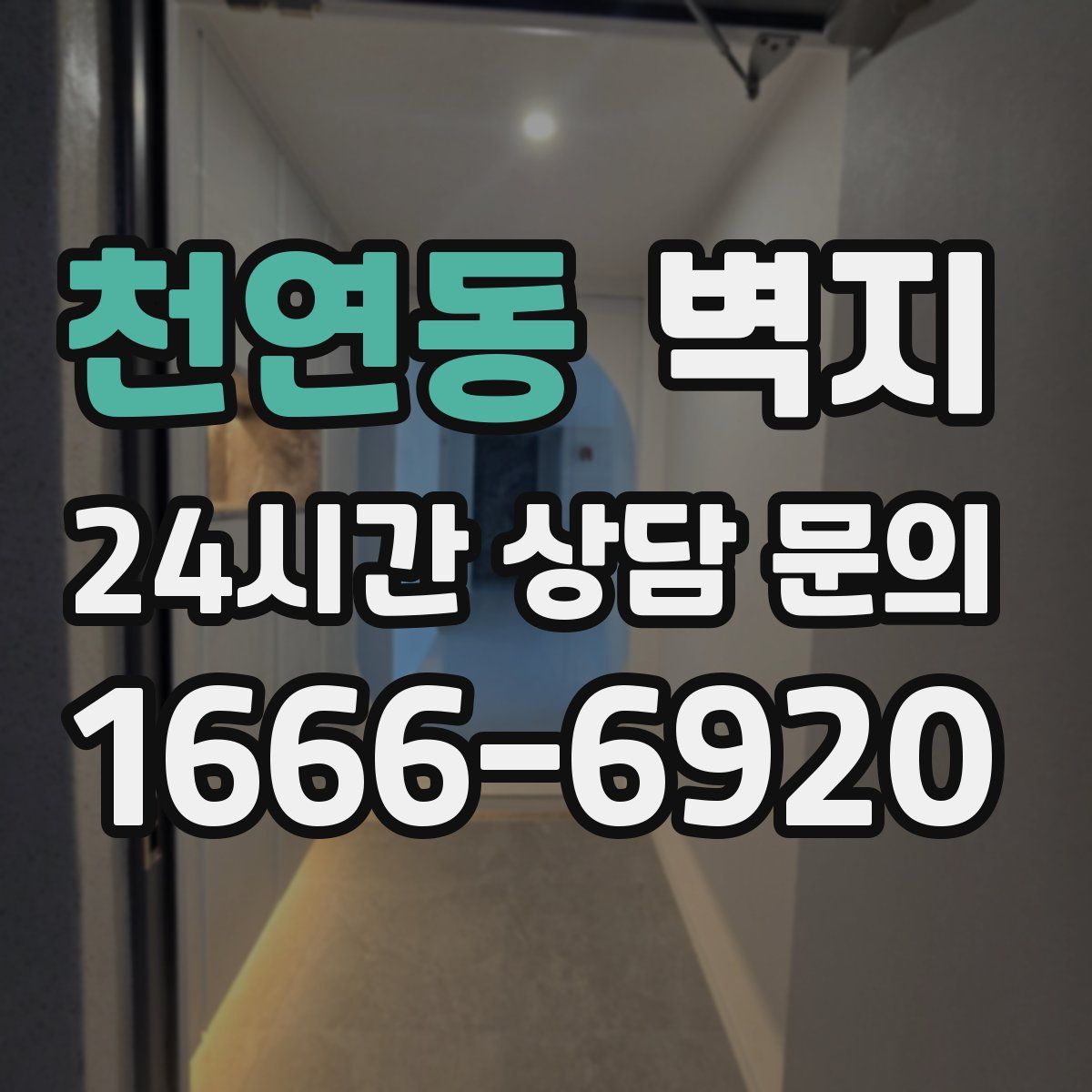 천연동 벽지