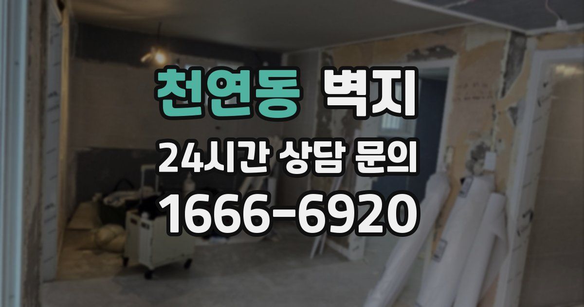 천연동 벽지