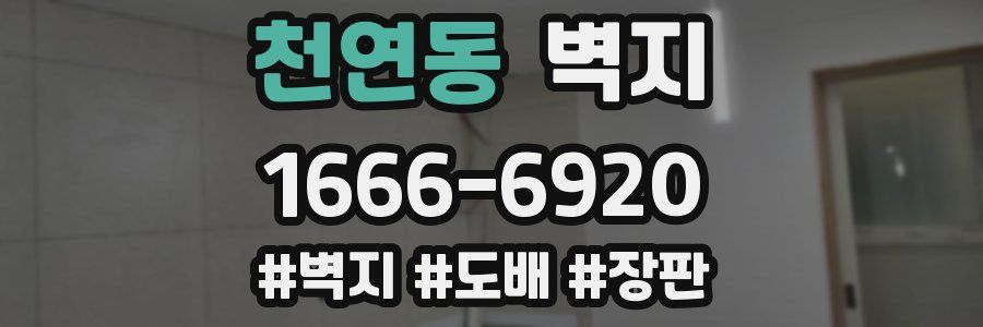 천연동 벽지
