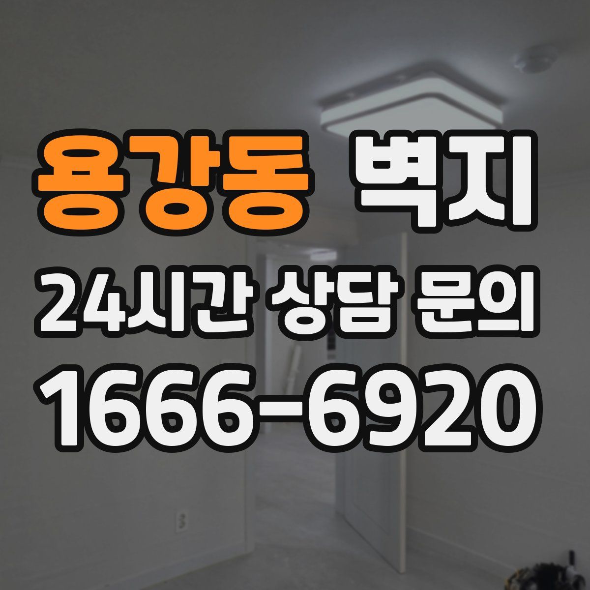 용강동 벽지