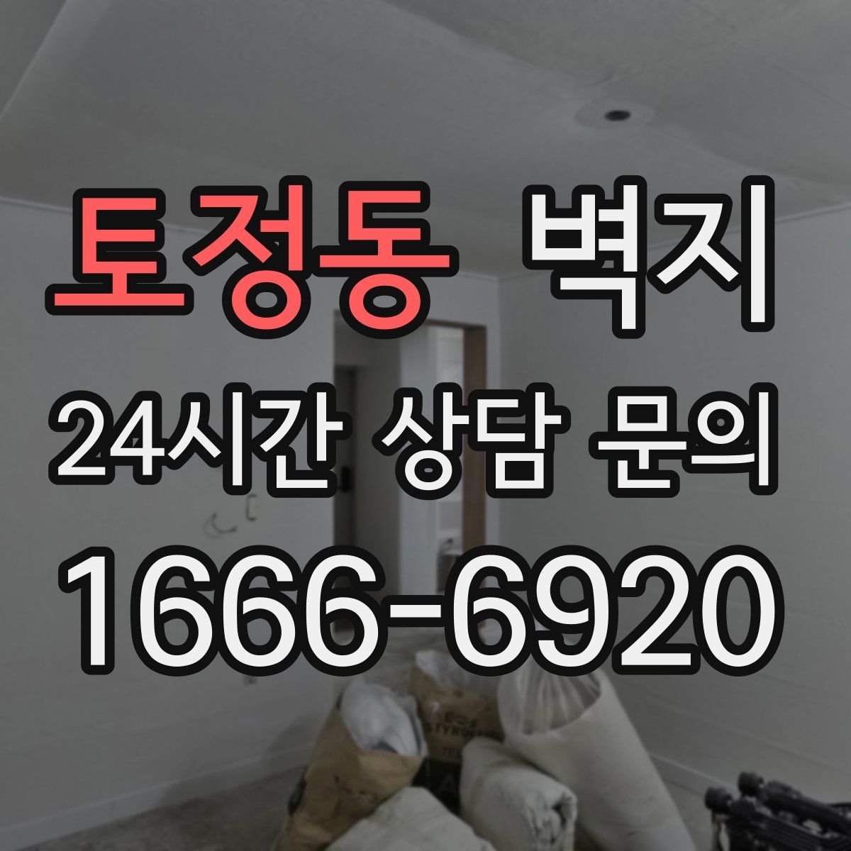 토정동 벽지