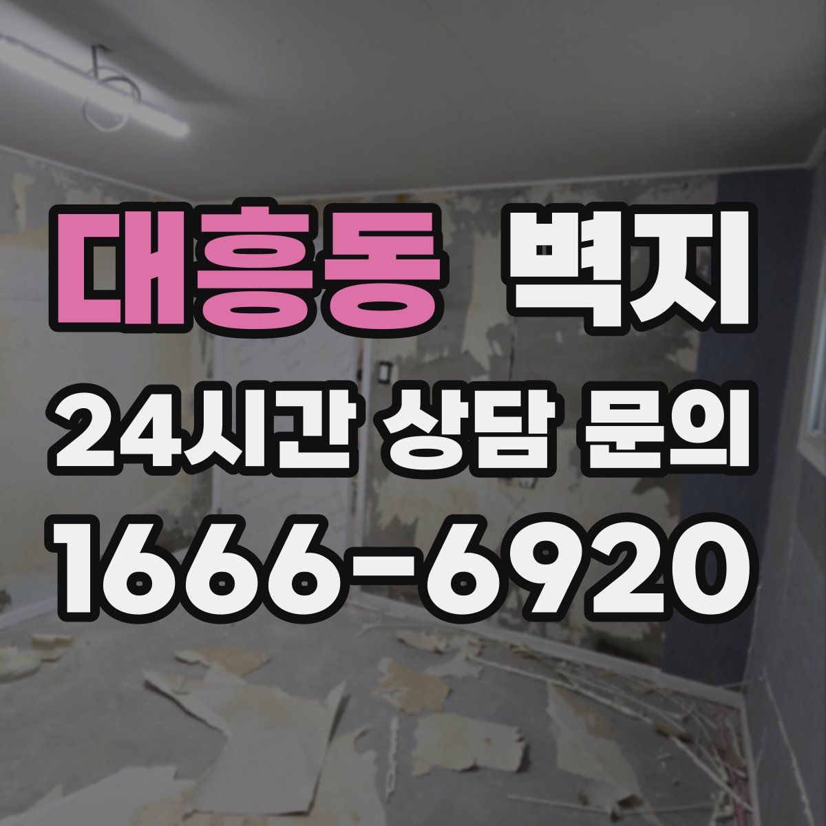 대흥동 벽지