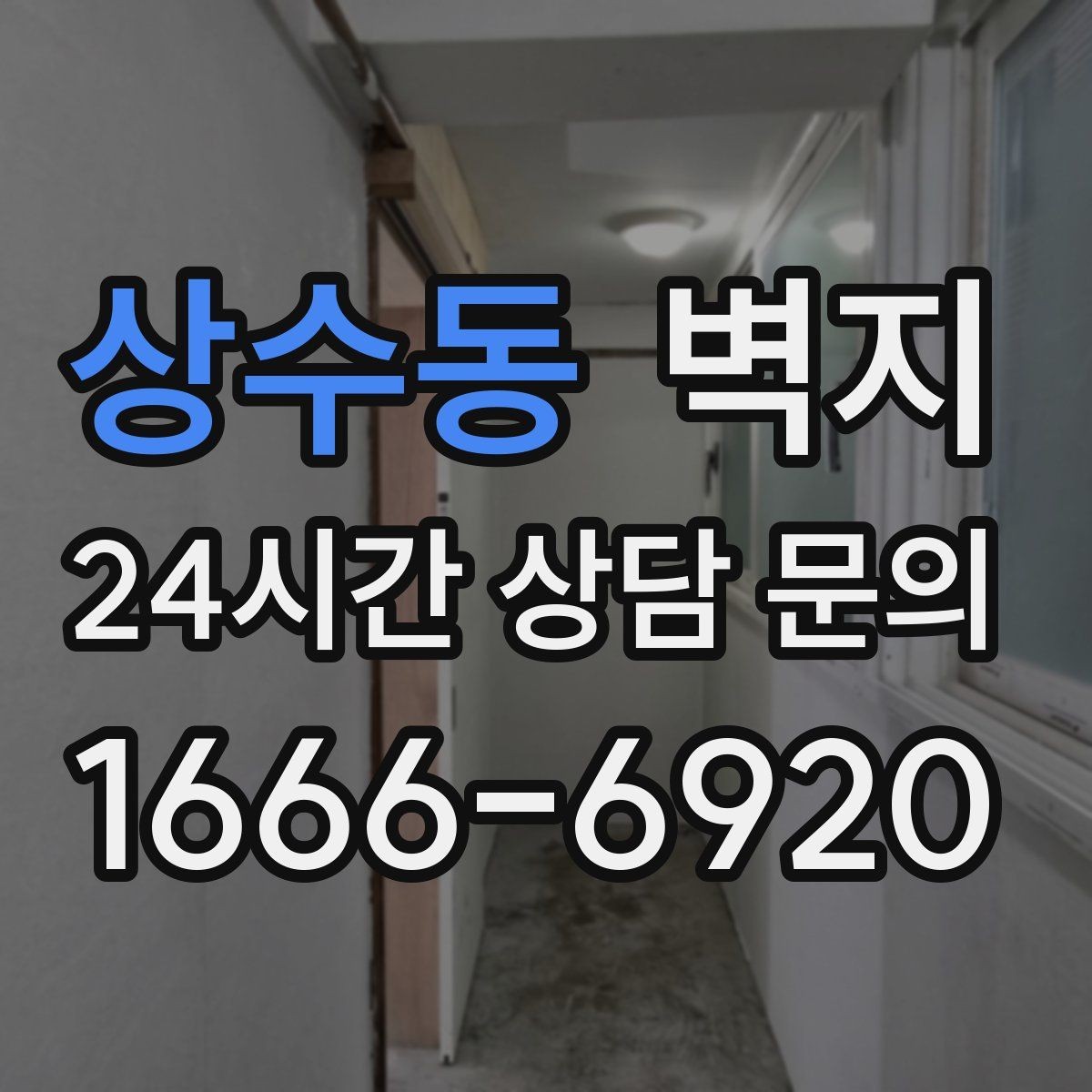 상수동 벽지 샘플 살펴보기할 때 확인할 부분