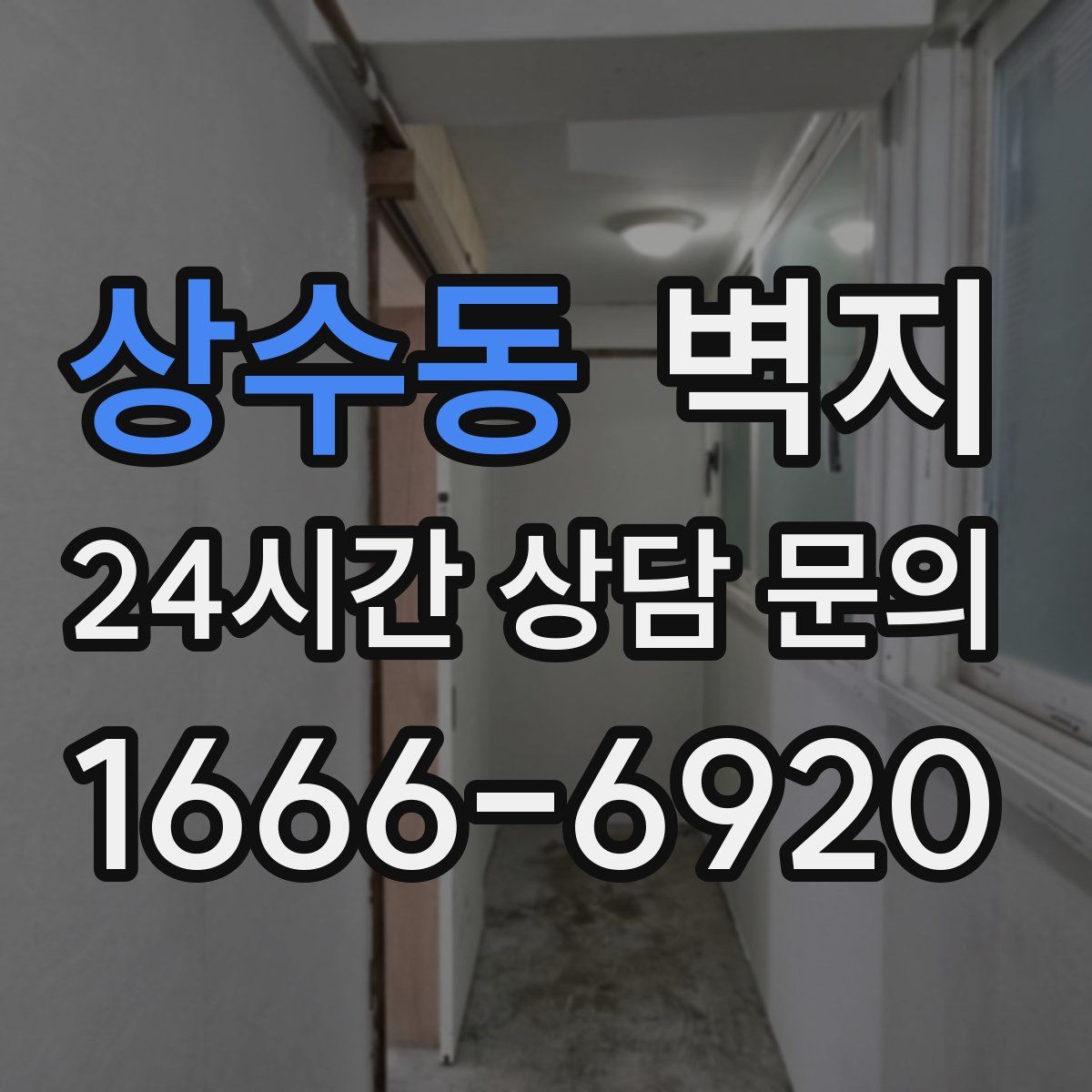 상수동 벽지
