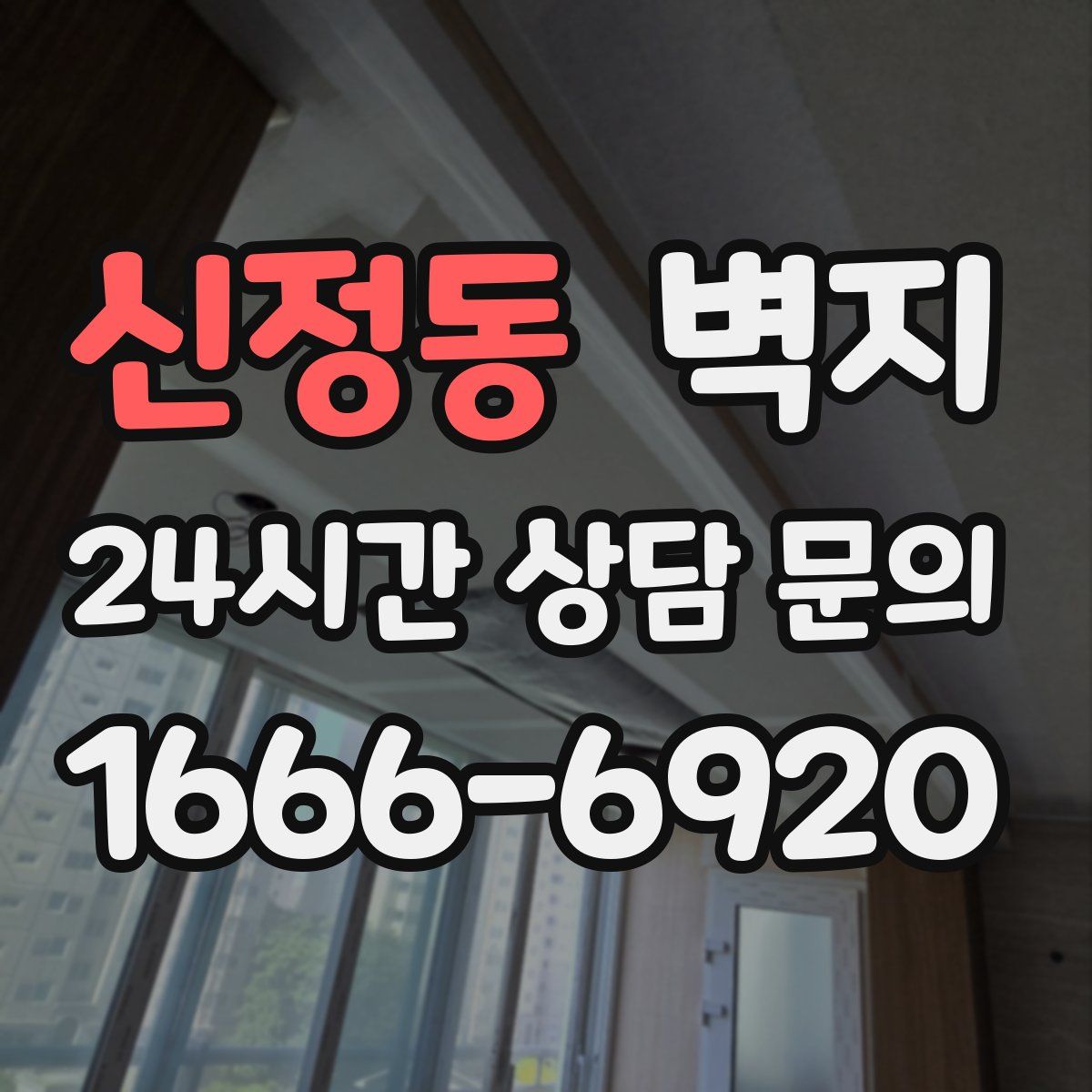 신정동 벽지