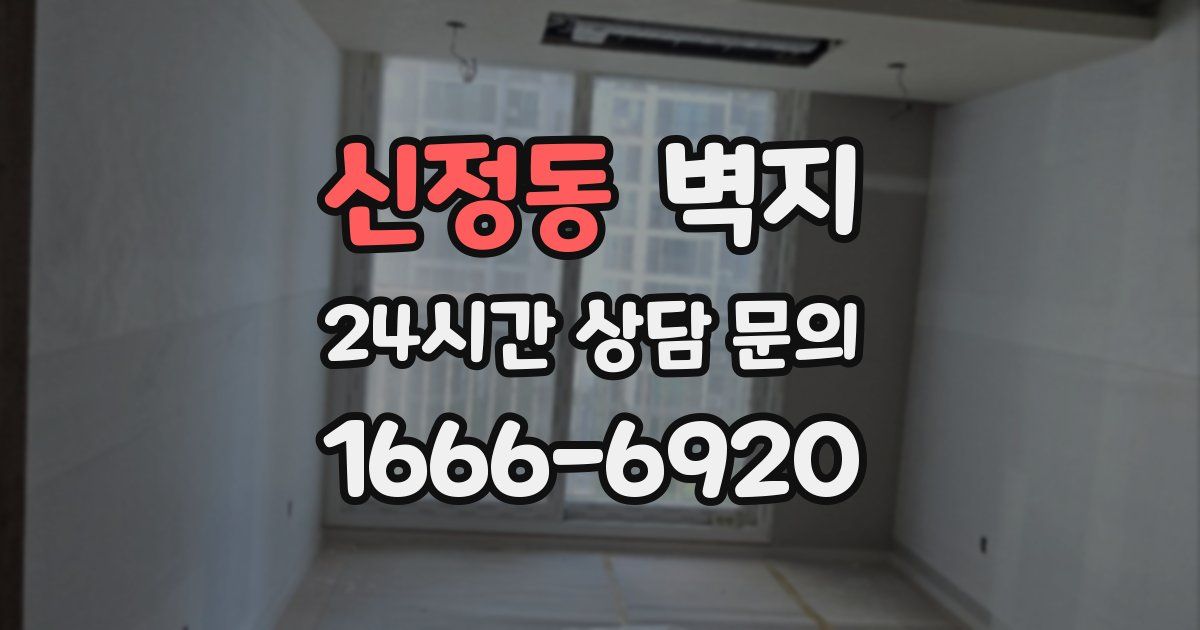 신정동 벽지