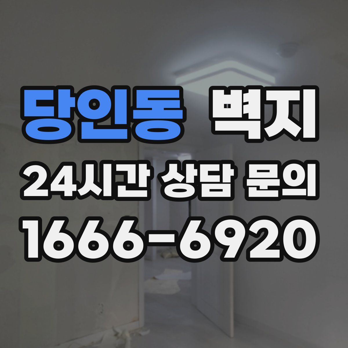 당인동 벽지