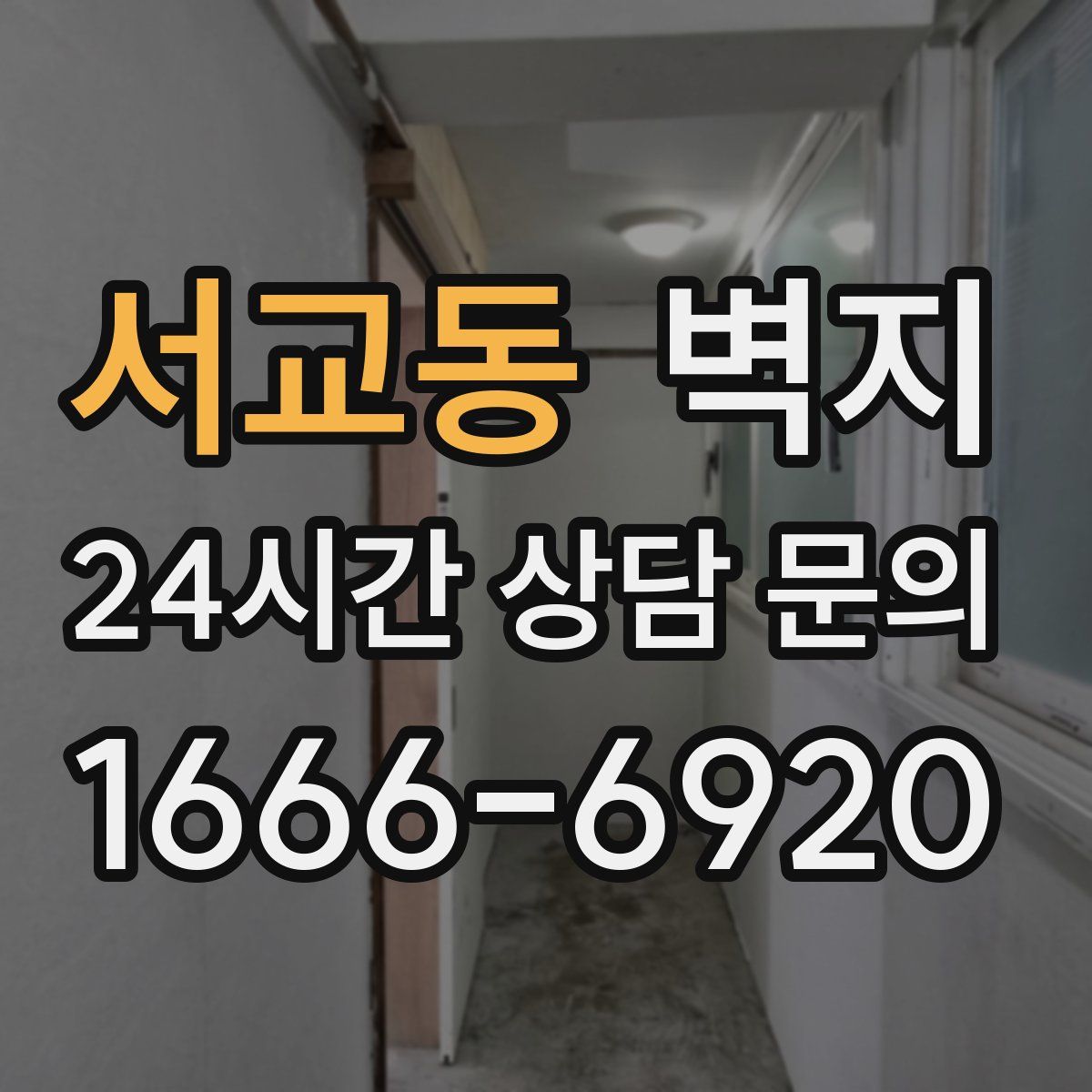서교동 벽지