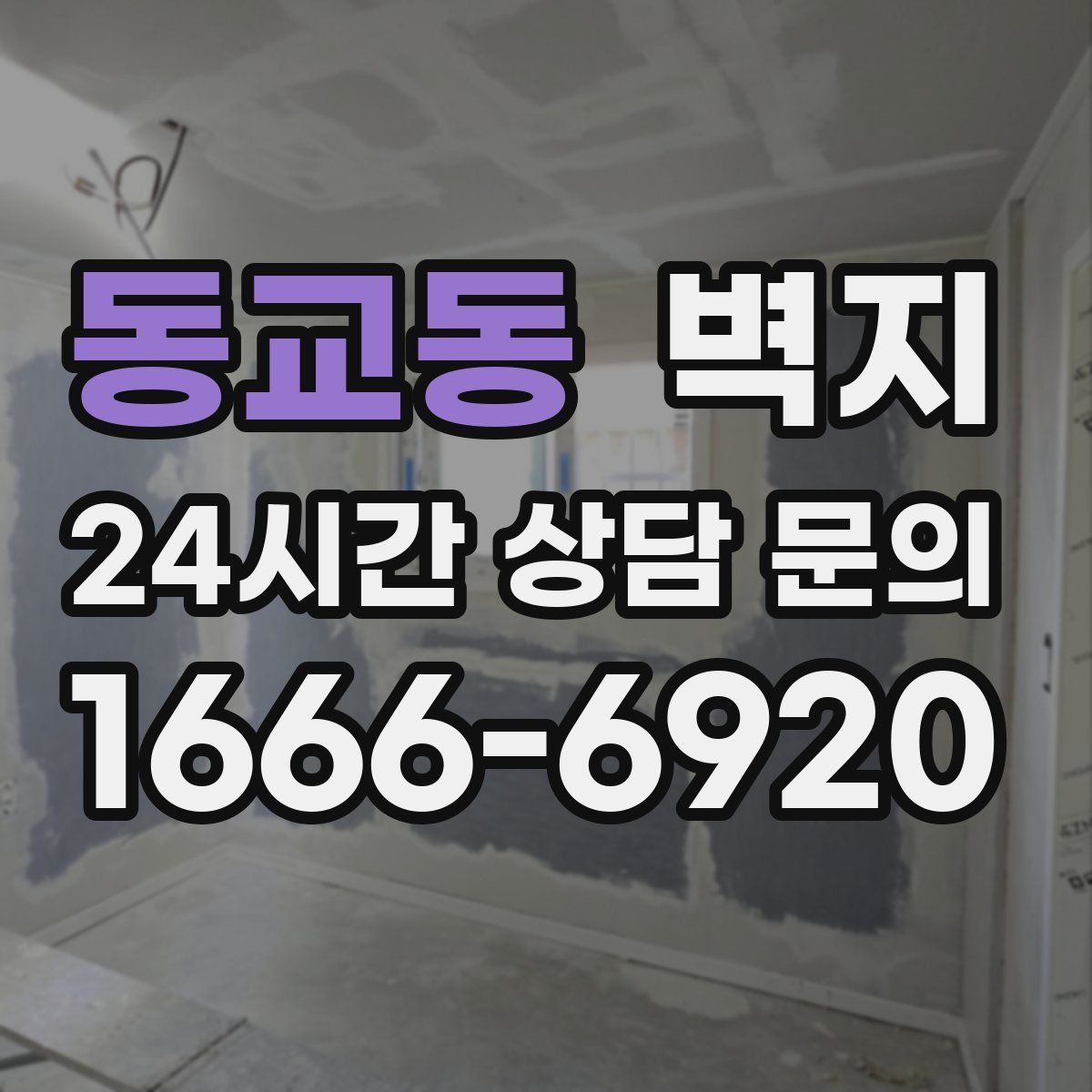 동교동 벽지