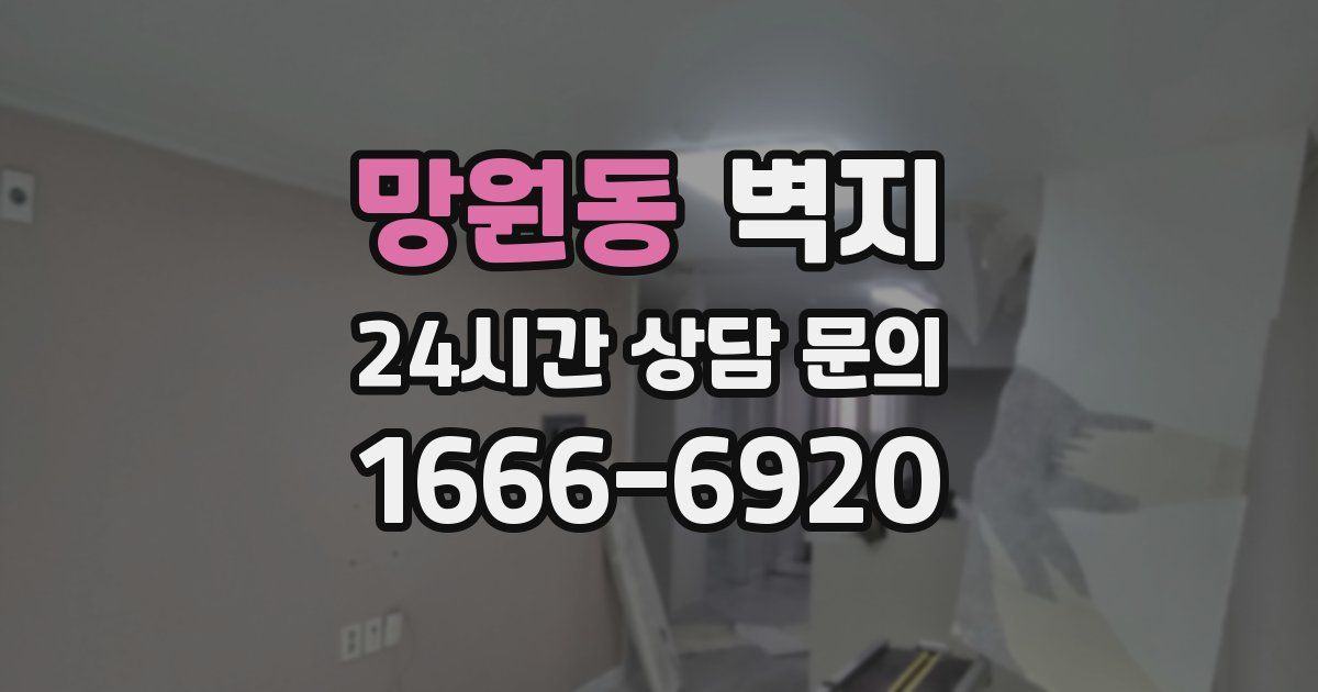망원동 벽지