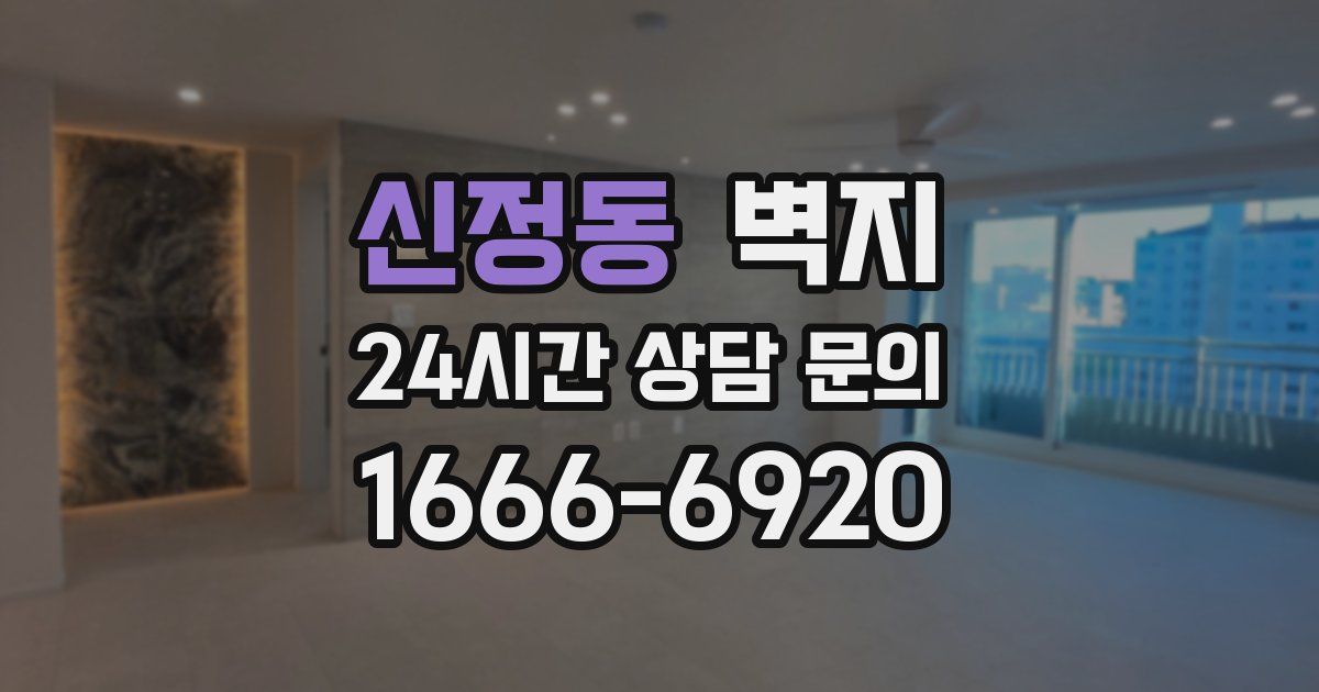 신정동 벽지