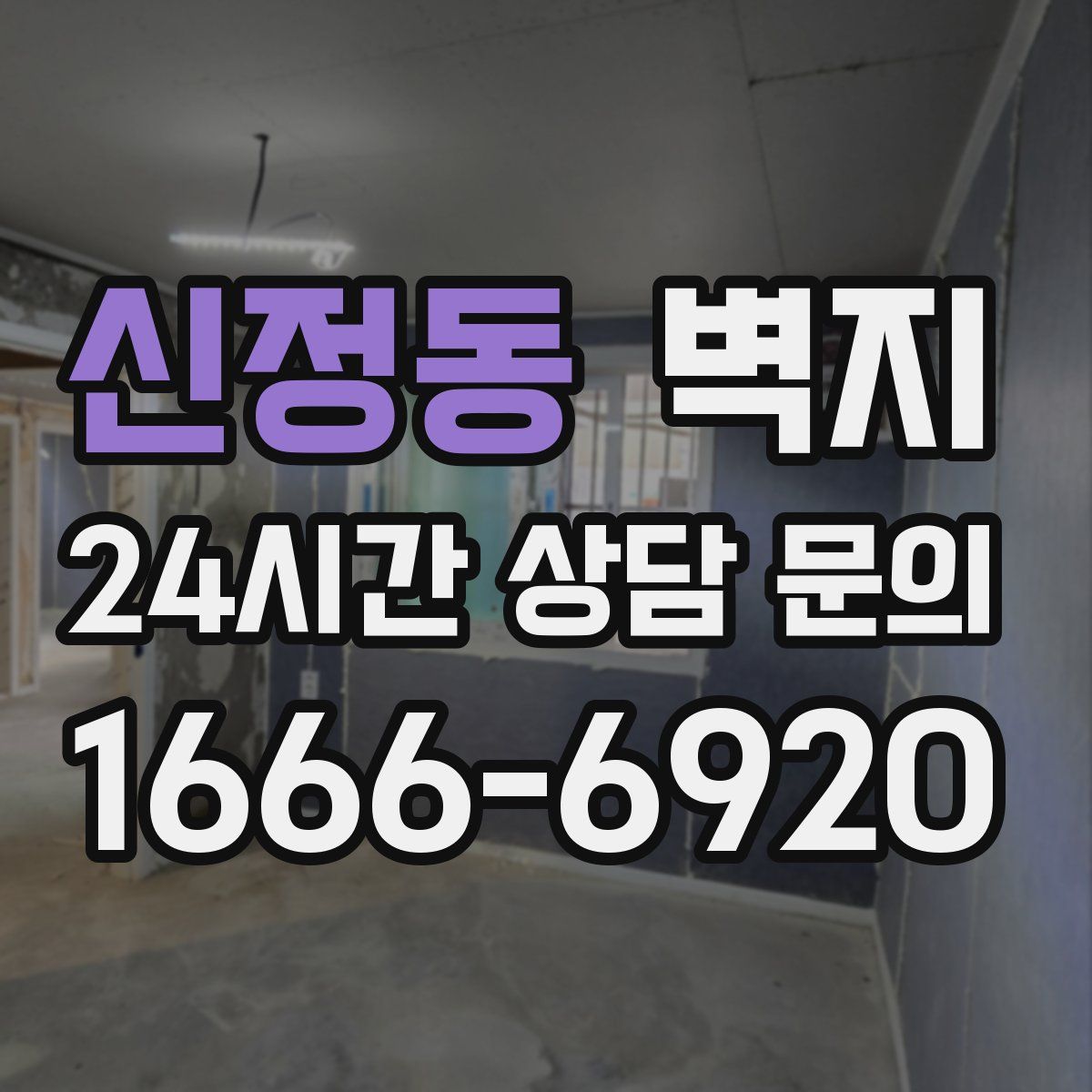 신정동 벽지
