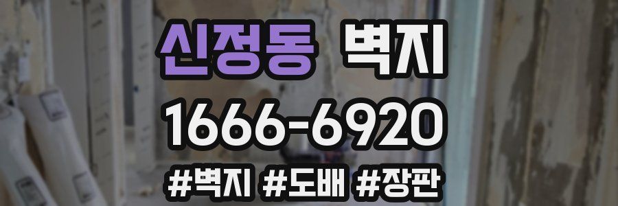 신정동 벽지