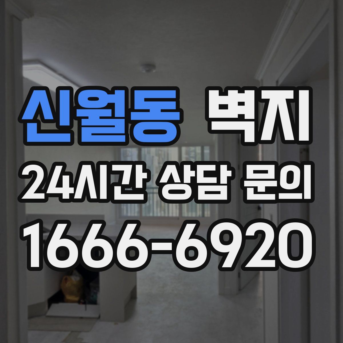신월동 벽지