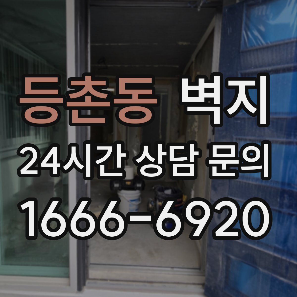 등촌동 벽지
