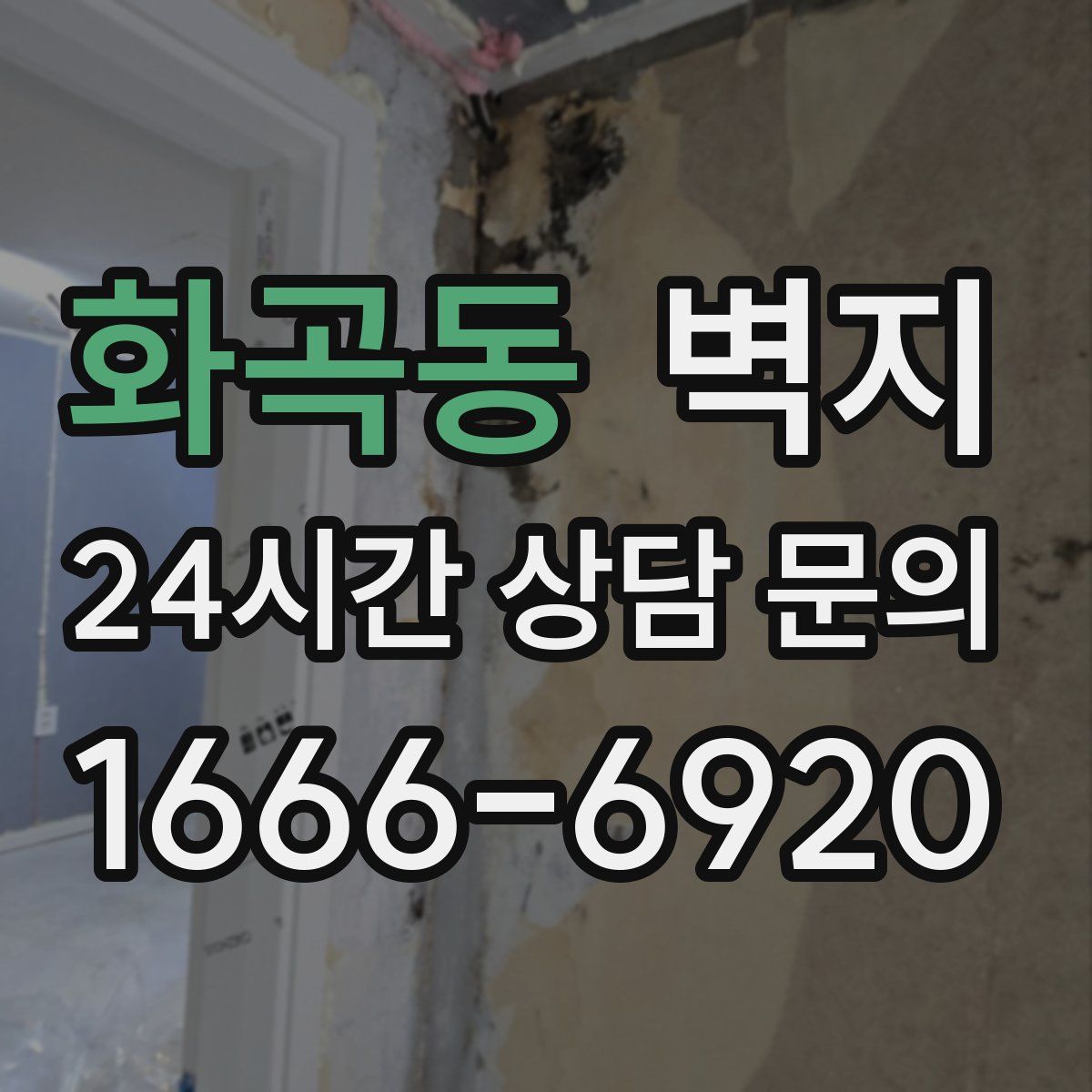 화곡동 벽지