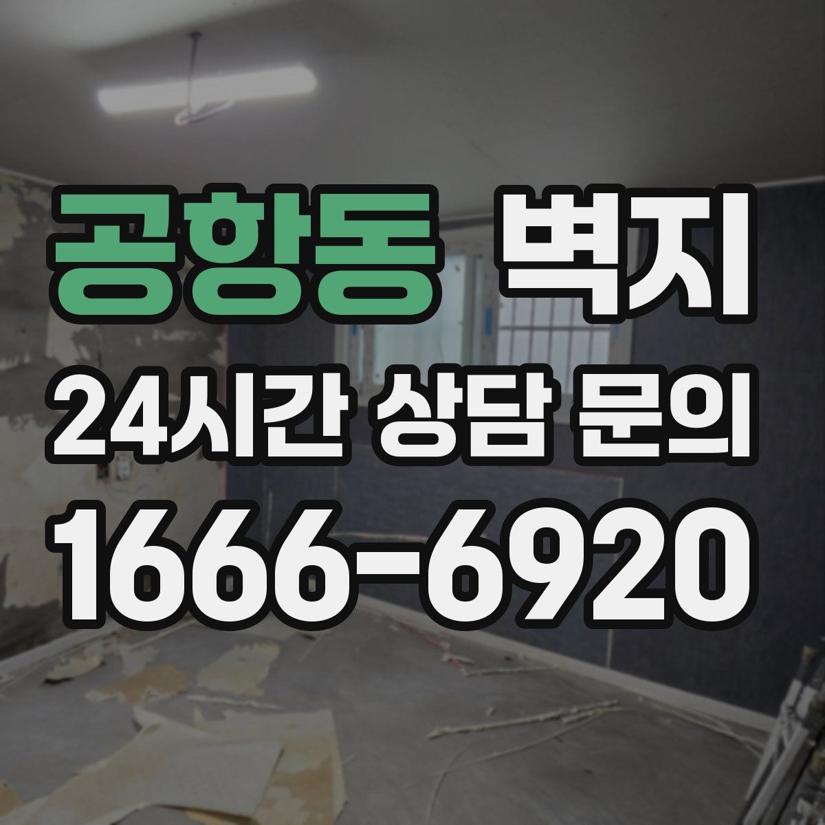 공항동 벽지