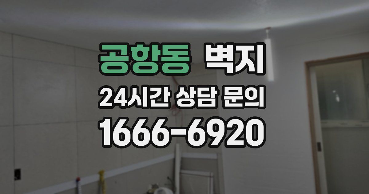 공항동 벽지