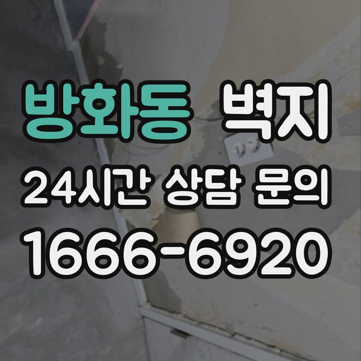 방화동 벽지
