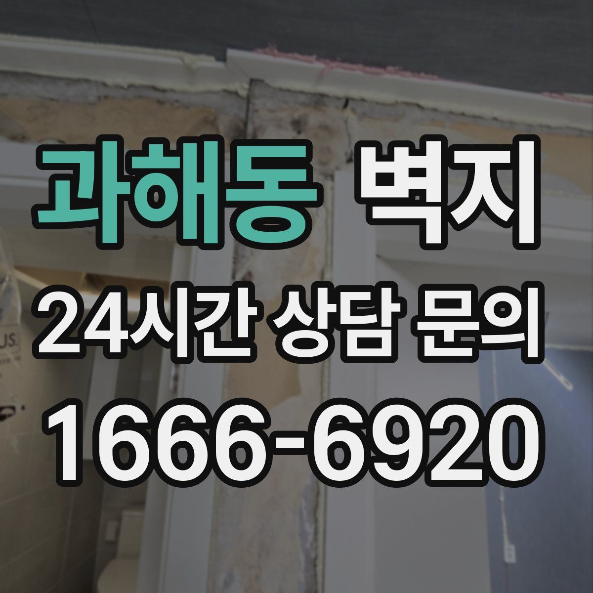 과해동 벽지
