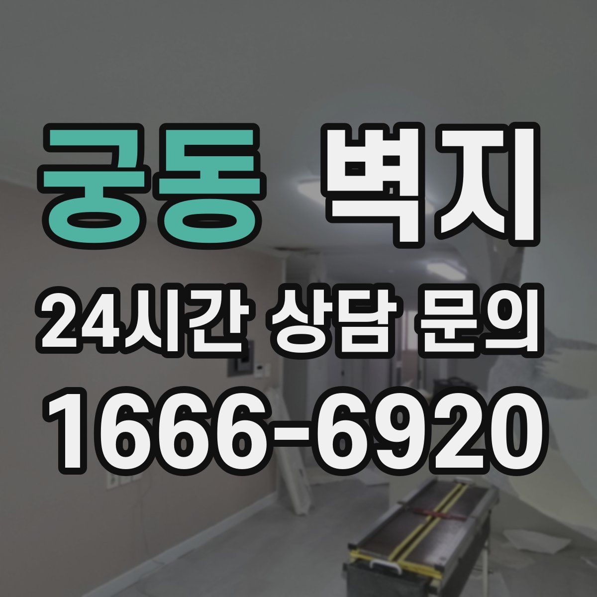 궁동 벽지